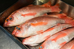 一本釣りの「ノドグロ」は、シンプルに旨さを引き出す