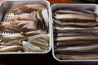 江戸前である意味を考える。天ぷらという調理に適した「魚介」