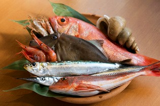 金沢だからこそ味わえる魚介の素晴らしさを伝えたい