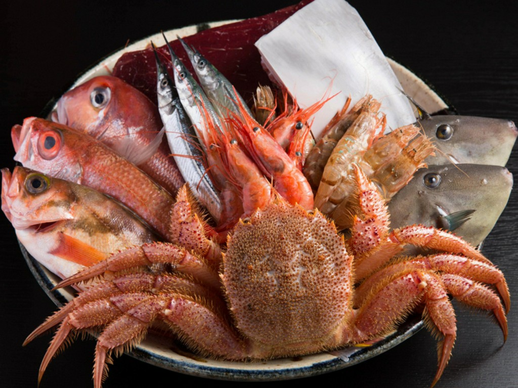 その日とびきりの魚介を、その日の内に提供しています