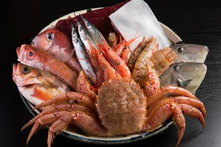 その日とびきりの魚介を、その日の内に提供しています