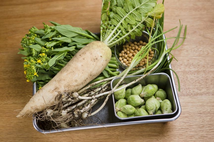 神奈川と山梨の農家から直送される旬の無農薬野菜