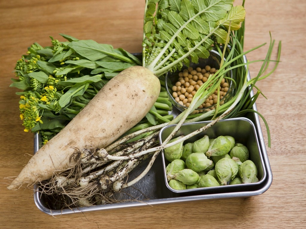 神奈川と山梨の農家から直送される旬の無農薬野菜