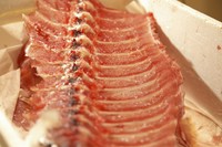 1本のマグロから取れる中落ちは全体の1％前後。ハマグリの貝殻で骨と骨の間の身をそぎ取っていただきます。（写真は3～4人前/入荷状況によりキハダマグロまたは本マグロでのご提供となります）