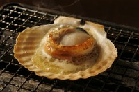 津軽海峡にもまれた立派なホタテを豪快浜焼きに！活きたホタテを生けすよりテーブルへお届けします！浜焼きorお刺身でお召し上がりください。 入荷状況により青森or三陸産でご提供いたします。