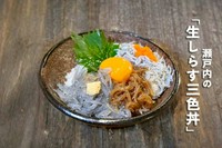 三種のシラスを彩り豊かに盛り付けた贅沢な丼ぶりです。とろける食感の「生シラス」旨みを凝縮した「漬けシラス」ふんわり仕上げた「釜揚げシラス」。三種それぞれの味わいを、中央の生卵を絡めてお楽しみください