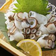 ＜おすすめ＞明石昼網　活たこ刺身