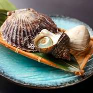 白はまぐり・ホタテ・サザエ（大）　各1個