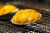 三陸の郷土料理。ムラサキウニを貝に盛り付け、塩釜で蒸し焼きにした磯の香りいっぱいの焼きうにです。卓上のコンロで軽く焼いて特製うに醤油のつけだれでお召し上がりください。