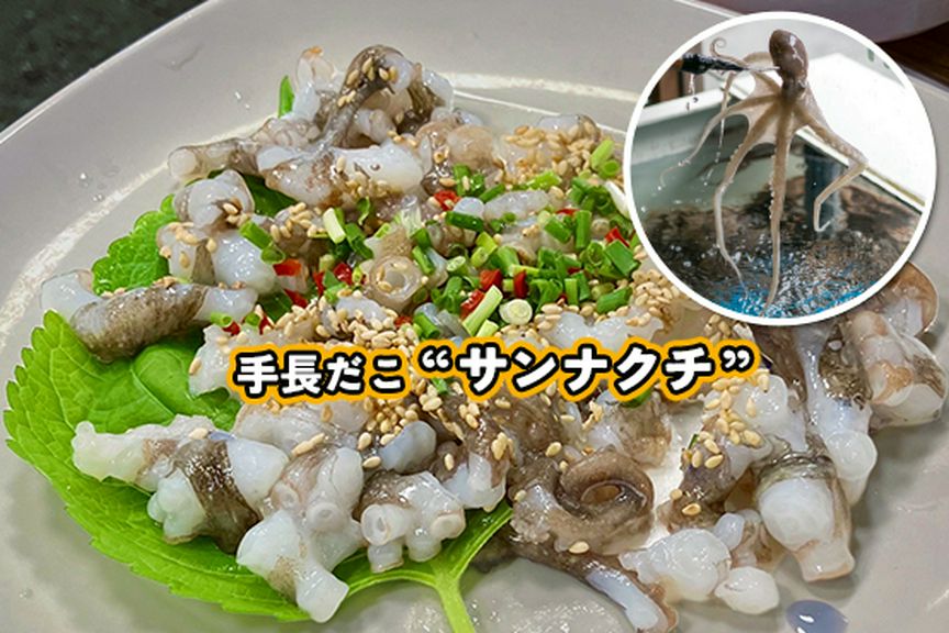 明石直送国産『活 手長だこ』（サンナクチ・地獄焼き）