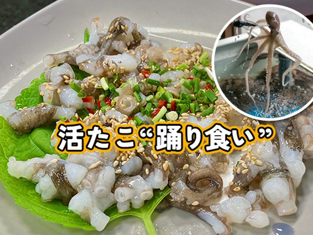 活たこ踊り食い ～サンナクチ～