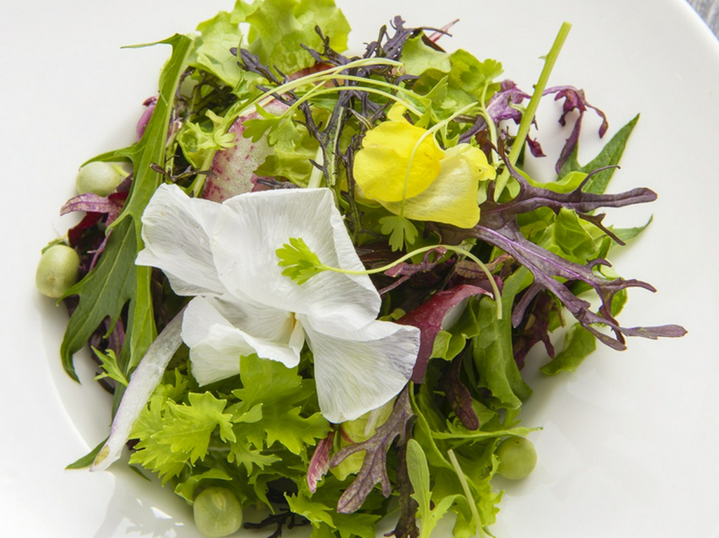 20種以上の野菜でつくる『季節のグリーンサラダ』