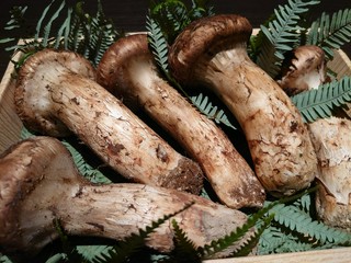 詳細など是非お問い合わせください!