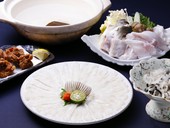活河豚ならではの独特の食感に魅了される『活河豚一本づくし』
