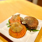※高知を代表する貝です