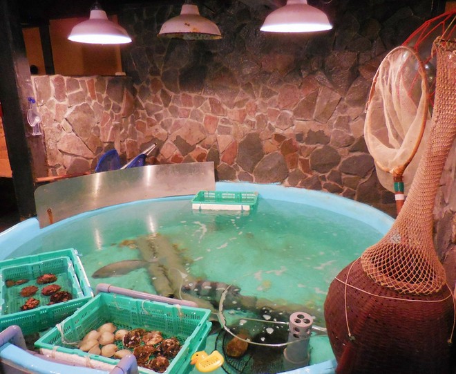 食材にこだわっている