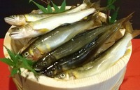 ※高知県 仁淀川産の鮎 等..
※仕入れ状況によりお出しできない場合もございますので、お電話にてご確認ください。