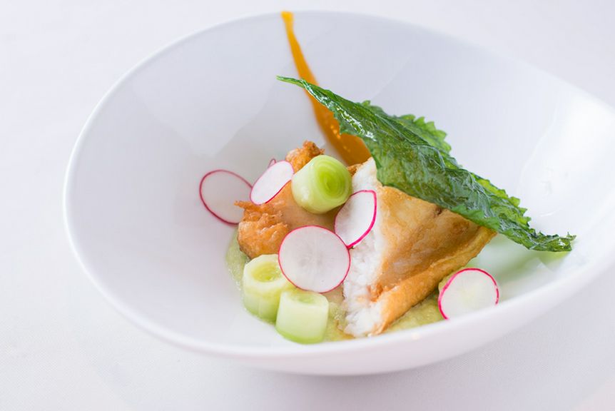 夏を彩る『衣を纏った穴子、根セロリのピューレ、胡瓜のソース、エゴマとラディッシュ、青梅の酸味』