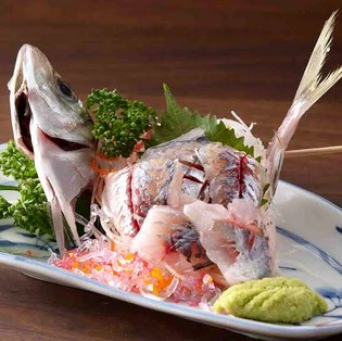 鮮度を重視した肉や魚をつかった料理