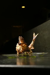 『鮎の汐焼と野菜のごま和え』※画像は一例です。季節に応じて食材や調理法は変わります。