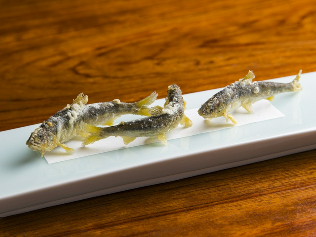 琵琶湖産　稚鮎の天婦羅