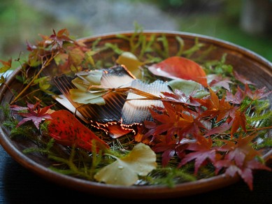 熟成和牛の旨みと香りの贅沢ハーモニーが堪能できる『お肉を使ったコース』