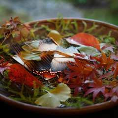 熟成和牛の旨みと香りの贅沢ハーモニーが堪能できる『お肉を使ったコース』