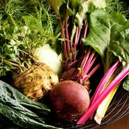 野菜は地元の農家に栽培を依頼。名産のトマト、カーボネッロ（黒キャベツ）、フェンネル（ういきょう）など旬の味わい。冬場にはイノシシやシカなどのジビエ料理。県が衛星許可を出した安心食材を使用しています。