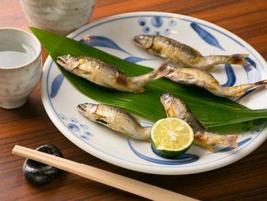 広島にある太田川の天然の稚鮎をシンプルに塩でいただきます。季節を味わう『鮎の塩焼き』