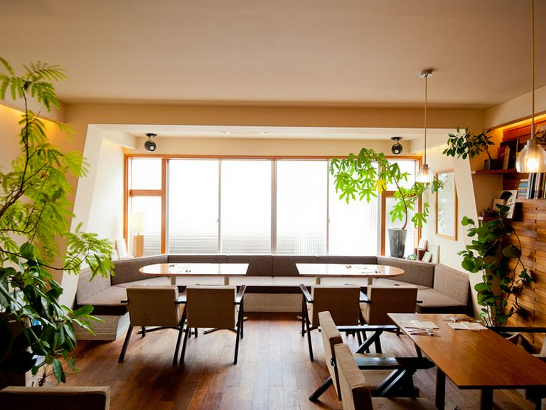 木製の家具と観葉植物。木のぬくもりに包まれゆったりくつろげる