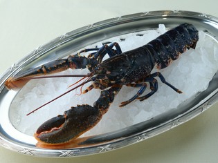 フランスより空輸する「活オマール海老」などの上質な食材
