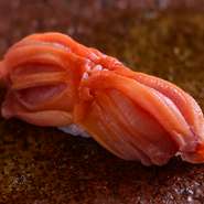 寿司ネタの中でも固めの『赤貝』。その日によって大きさは違いますが、大きさに合わせ丁寧に刃打ちし（隠し包丁）食べやすくしています。