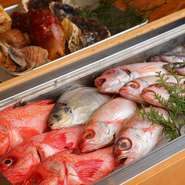 近海の天然鮮魚を中心に、肉や魚も上質な物を入荷
