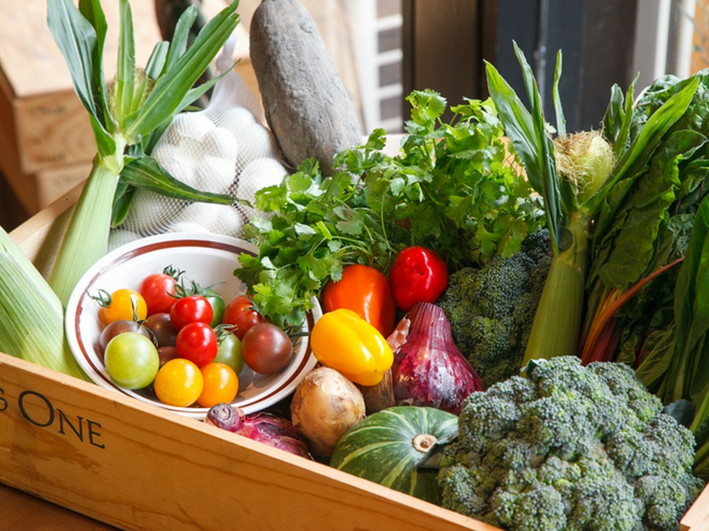 その日おすすめの採れたて野菜は店内の黒板で紹介