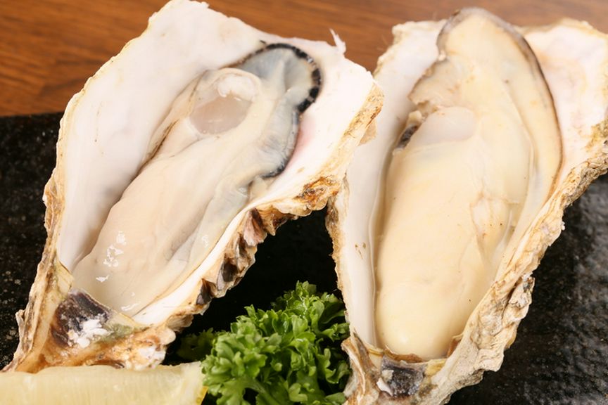 鮮牡蠣(厚岸産)