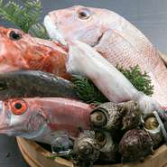 鹿児島は地鶏や黒毛和牛が有名ですが、魚を好きだという方にもおすすめできるよう、魚にもこだわりをもって仕入れています。当日、お好きな食材に合わせた調理をすることも可能です。