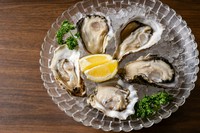 あなた好みはどこ?世界各地から集まったカキを食べ比べ!