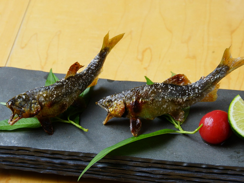 泳ぎ鮎の炭火焼き