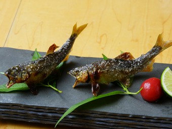 泳ぎ鮎の炭火焼き