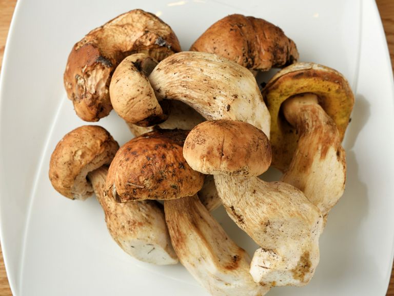 自然農法の野菜など、こだわりの食材。鮮魚は築地から直送!