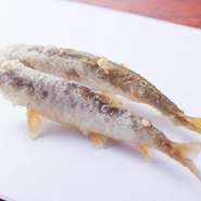 旬の素材を味わうのが関西風天ぷらの持ち味。この時期は、稚アユです。まるごと薄い衣で揚げられた姿の美しさを愛でるのも、これもまた季節を味わう楽しみ方です。季節毎に、何が出てくるかも楽しめます。