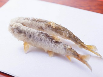 季節の移り変わりと旬の美味しさを楽しめる『季節の天ぷら』