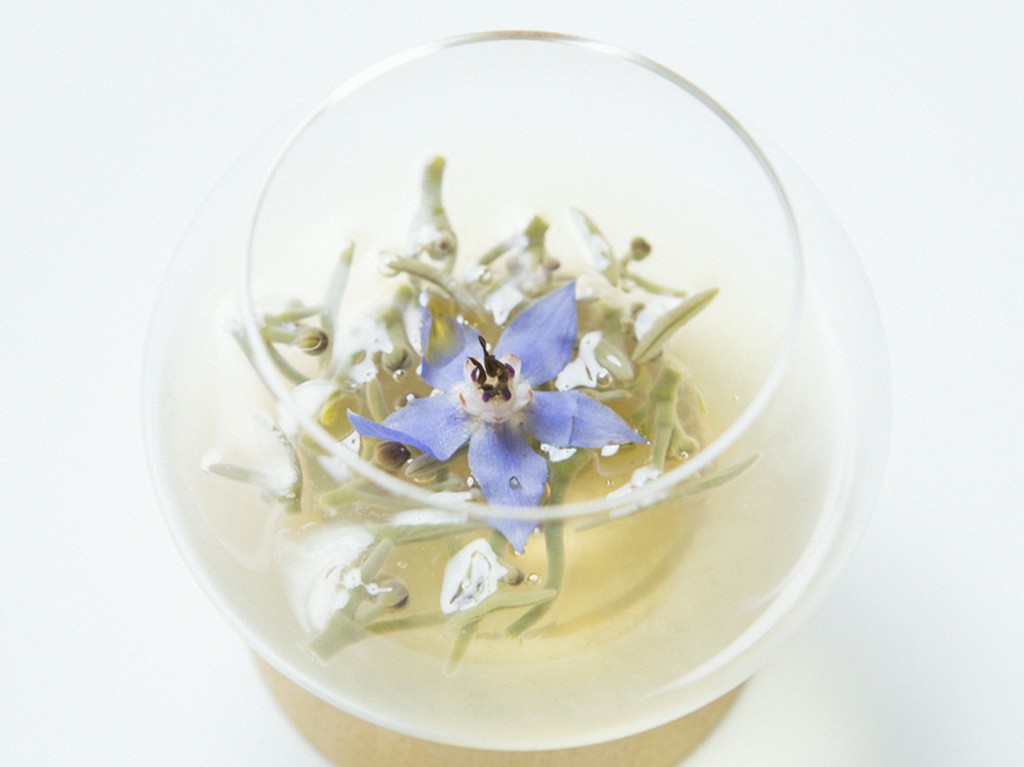 手間暇かけた上品な一皿『トマトの雫とじゅんさい』