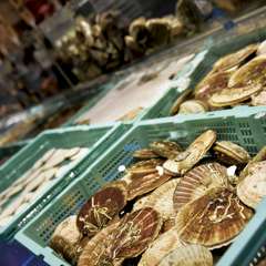 大きないけすから選んだ鮮度抜群の魚介をお好みの調理法で