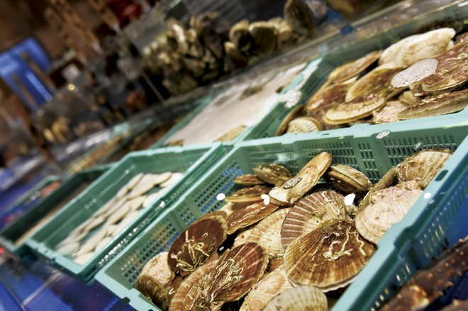 食材にこだわっている