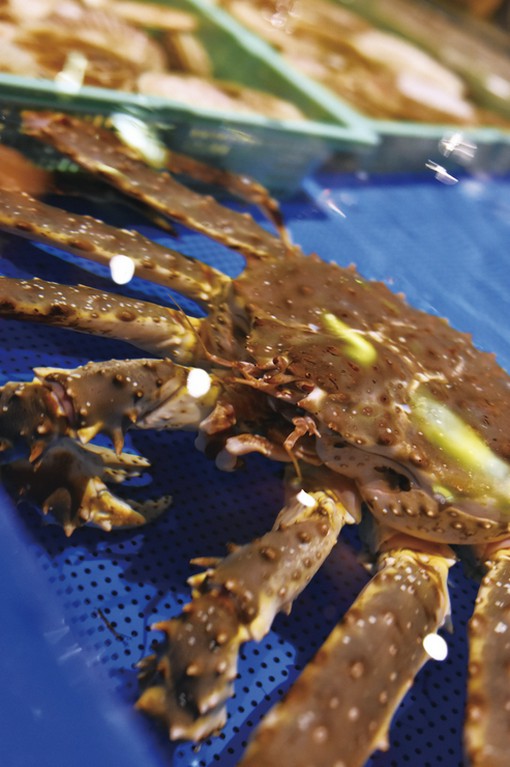 大きないけすから選んだ鮮度抜群の魚介をお好みの調理法で