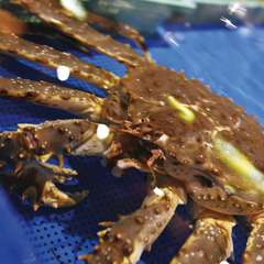 大きないけすから選んだ鮮度抜群の魚介をお好みの調理法で