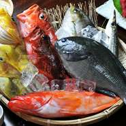 長崎県五島列島から旬の魚を直送