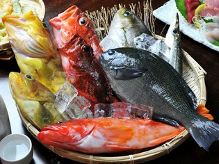 長崎の五島列島から直送される旬の魚をお刺身で
