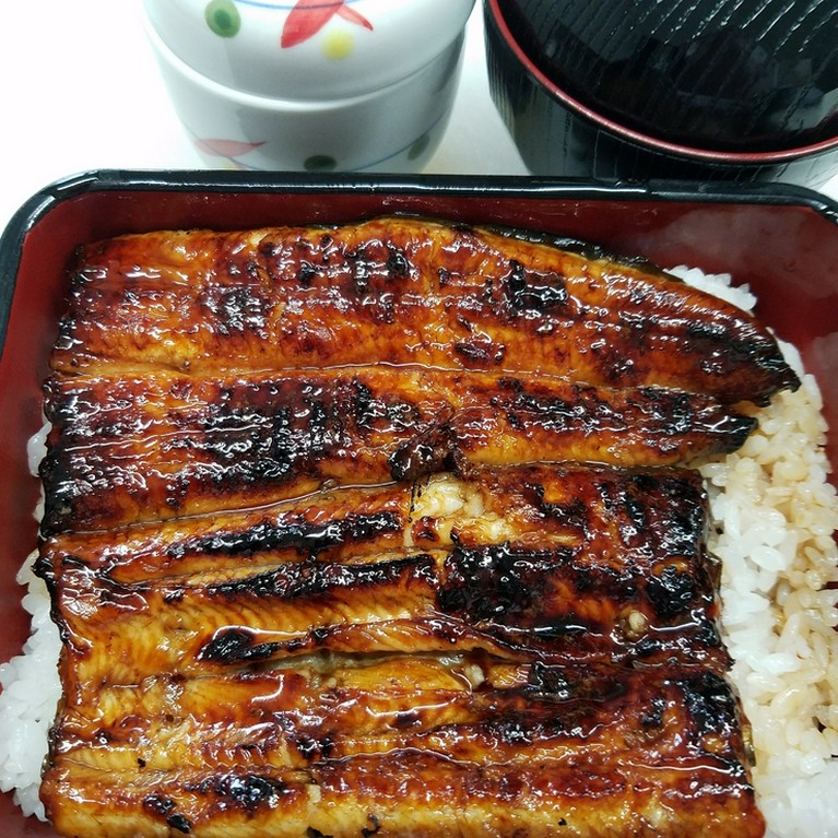 上うな重